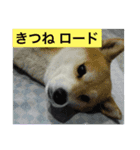 本当に本当に毎日使えるスタンプ（個別スタンプ：2）