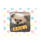 大黒和牛ちゃん3（個別スタンプ：4）