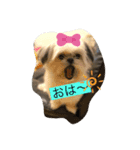 大黒和牛ちゃん3（個別スタンプ：7）