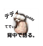 1歳になったよヨ（個別スタンプ：27）