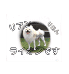 1歳になったよヨ（個別スタンプ：29）