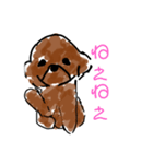 トイプードルの1日 あいさつ編（個別スタンプ：2）