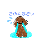 トイプードルの1日 あいさつ編（個別スタンプ：5）