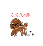 トイプードルの1日 あいさつ編（個別スタンプ：7）