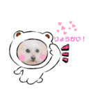 わんこのぽむちゃん（個別スタンプ：4）