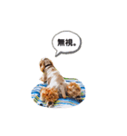 アメコカ・ジェイムス②（個別スタンプ：9）