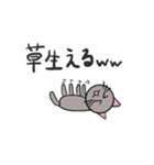 普通の猫ですよ。4(色ついた)（個別スタンプ：5）