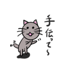 普通の猫ですよ。4(色ついた)（個別スタンプ：11）