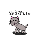 普通の猫ですよ。4(色ついた)（個別スタンプ：14）