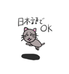 普通の猫ですよ。4(色ついた)（個別スタンプ：16）
