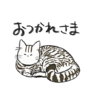 わがやのお猫さま（個別スタンプ：3）