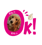 まろ 夏ver（個別スタンプ：8）