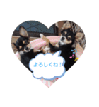 アズモナSTAMP（個別スタンプ：5）