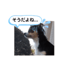 アズモナSTAMP（個別スタンプ：7）