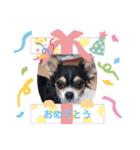 アズモナSTAMP（個別スタンプ：10）
