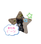 アズモナSTAMP（個別スタンプ：11）