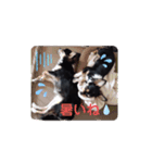 アズモナSTAMP（個別スタンプ：17）