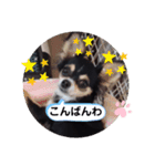 アズモナSTAMP（個別スタンプ：19）