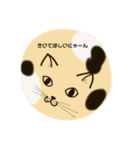 まんまるにゃんこのスタンプ（個別スタンプ：31）