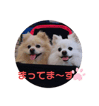 ゆーたとふーたの日常No2（個別スタンプ：1）