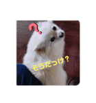 ゆーたとふーたの日常No2（個別スタンプ：2）