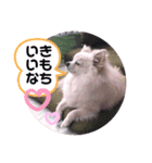 ゆーたとふーたの日常No2（個別スタンプ：3）