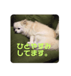 ゆーたとふーたの日常No2（個別スタンプ：4）