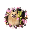 ゆーたとふーたの日常No2（個別スタンプ：5）