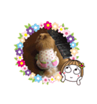 ゆーたとふーたの日常No2（個別スタンプ：7）