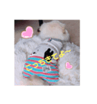 ゆーたとふーたの日常No2（個別スタンプ：8）