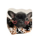 恋太郎ですッ（個別スタンプ：1）