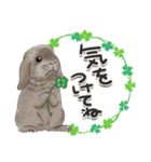 かわいいウサギのおやこ（個別スタンプ：1）