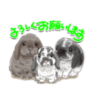 かわいいウサギのおやこ（個別スタンプ：2）