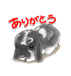 かわいいウサギのおやこ（個別スタンプ：5）