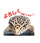 チョロさん③（個別スタンプ：2）