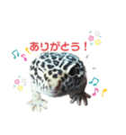 チョロさん③（個別スタンプ：8）