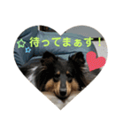 モンサンファミリー❤️（個別スタンプ：3）