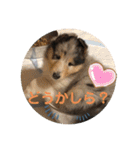 モンサンファミリー❤️（個別スタンプ：5）