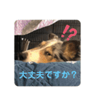 モンサンファミリー❤️（個別スタンプ：6）