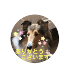 モンサンファミリー❤️（個別スタンプ：15）