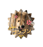 モンサンファミリー❤️（個別スタンプ：24）