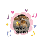 モンサンファミリー❤️（個別スタンプ：25）