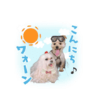 Happy＆Love（個別スタンプ：1）