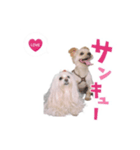 Happy＆Love（個別スタンプ：2）
