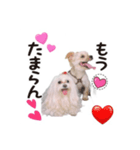 Happy＆Love（個別スタンプ：4）
