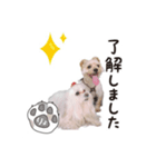 Happy＆Love（個別スタンプ：5）