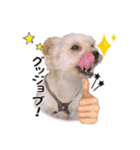 Happy＆Love（個別スタンプ：6）