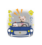 Happy＆Love（個別スタンプ：8）