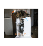 沙羅ゆう（個別スタンプ：1）