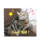 沙羅ゆう（個別スタンプ：2）